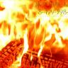   - SUNNY FIRE INSERTI - ECOPALEX